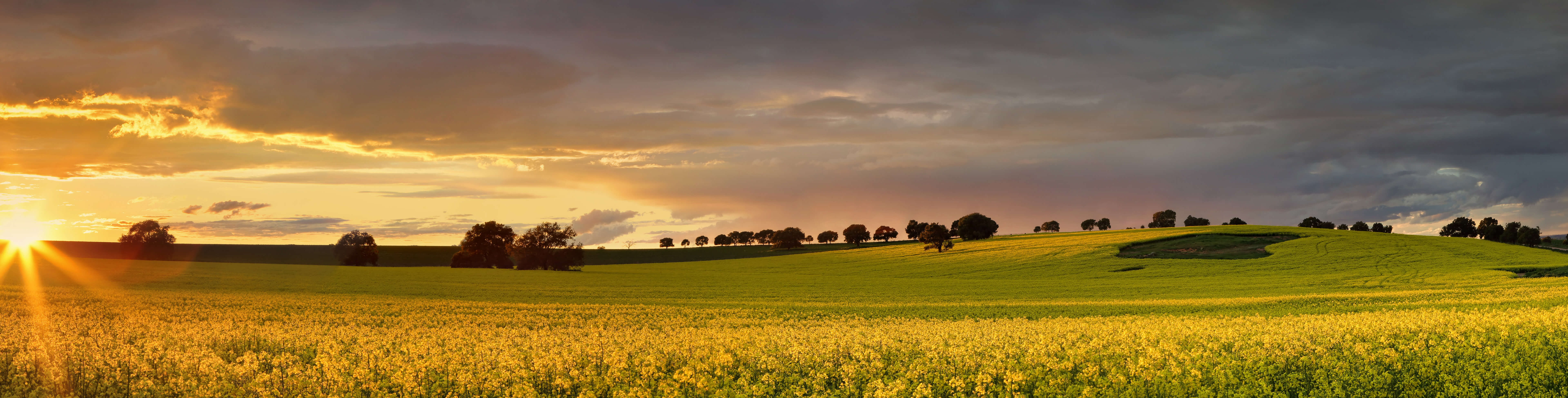 Corner View Farm Equipment Kutztown, PA Top Quality PreOwned Equipment